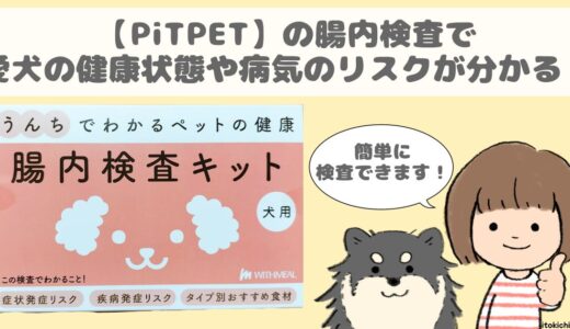 【PiTPET】の腸内検査で愛犬の健康状態や将来の病気のリスクまで分かる！